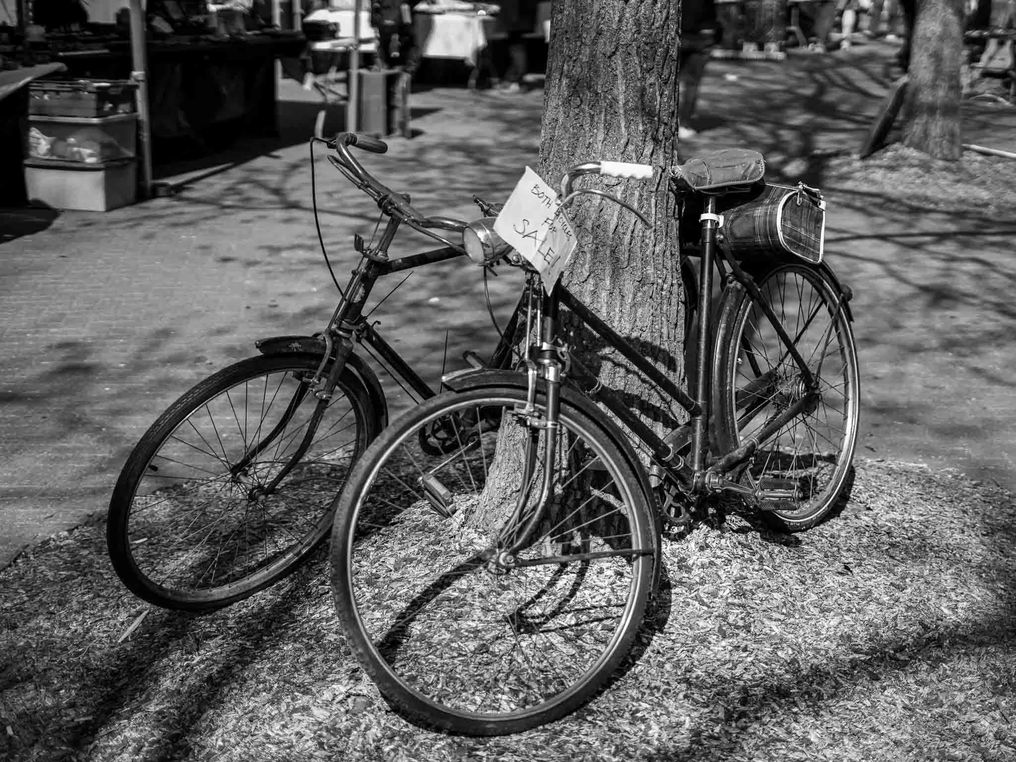 Two vintage bicycles locked to a tree, with a small sign on the tree, at Oxford Vintage  market, in black and white.