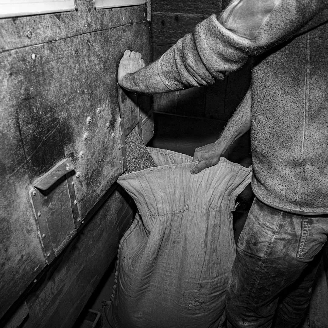 Person filling a large sack with grain or similar material from a machine in a warehouse or industrial setting, black and white photo.