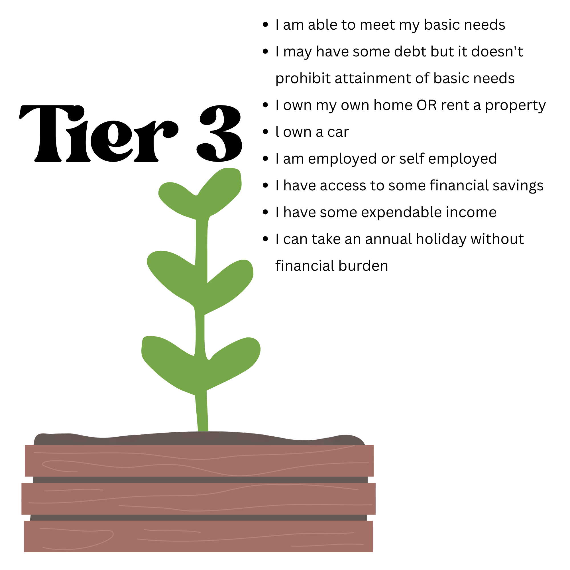 A small green plant sprouting from dark soil in a rectangular wooden planter box.