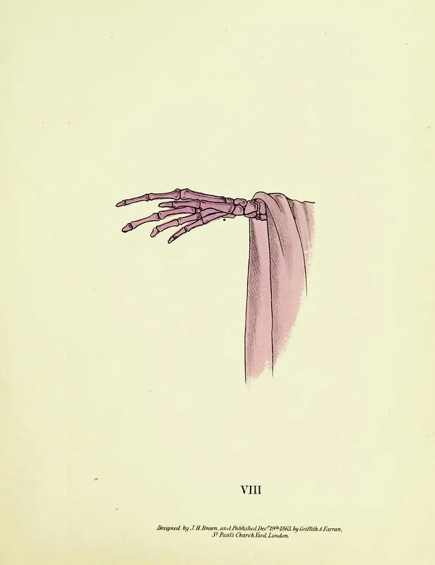 pdia-c9528ec4-6cdc-4aa2-9c8f-ff60b095189b.jpg