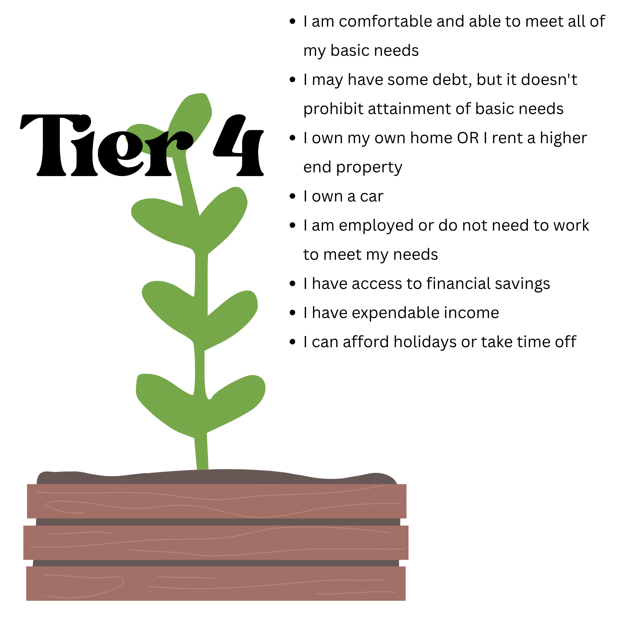 A small green plant sprouting from dark soil in a rectangular wooden planter box.