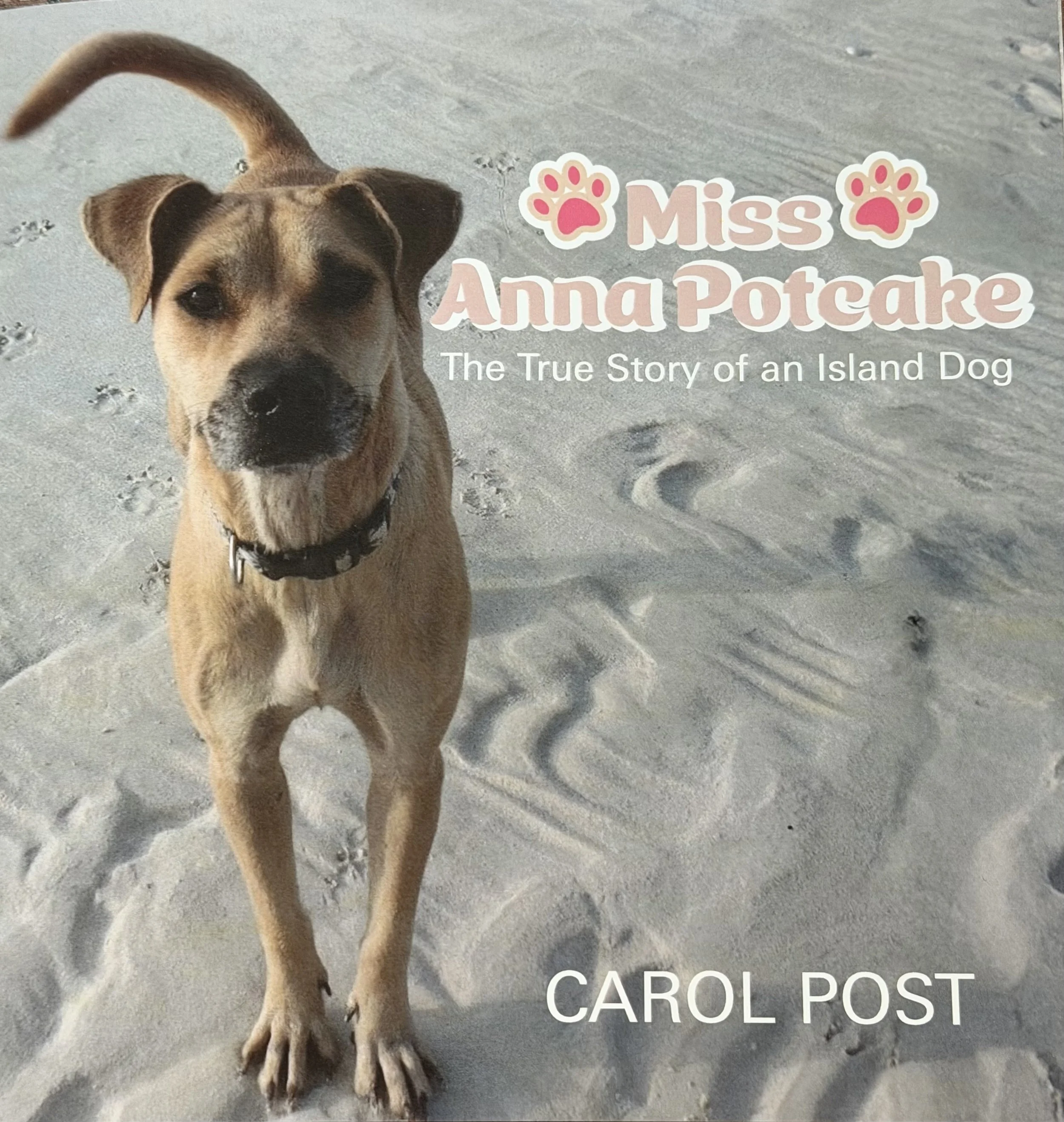 The cover of a book titled "Miss Anna Potcake: The True Story of an Island Dog" by Carol Post, featuring a tan dog standing on sand with paw prints and sand in its nose.