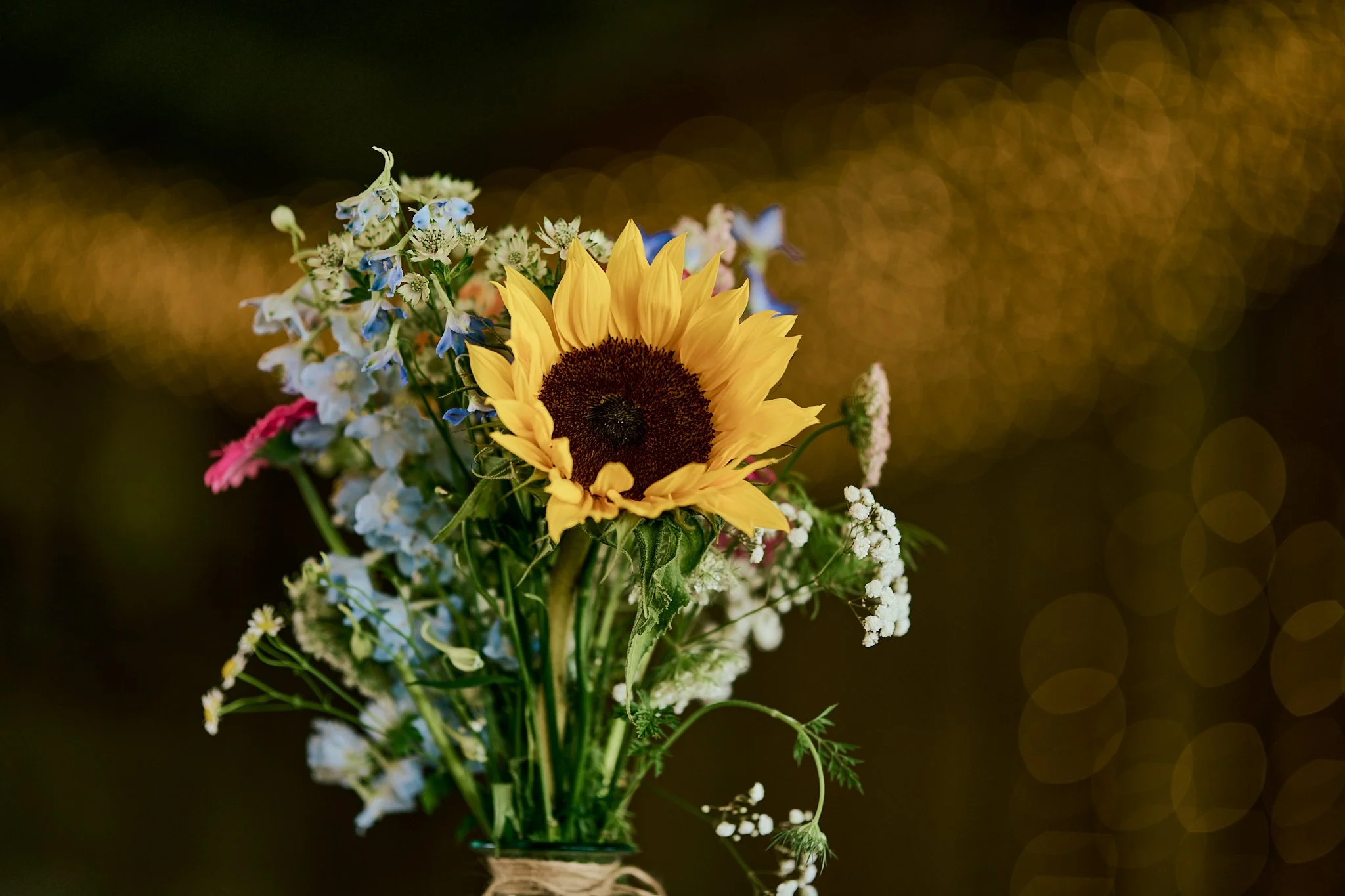 A bouquet of flowers including a sunflower, baby’s breath, blue and white flowers on a dark background with golden bokeh lighting.