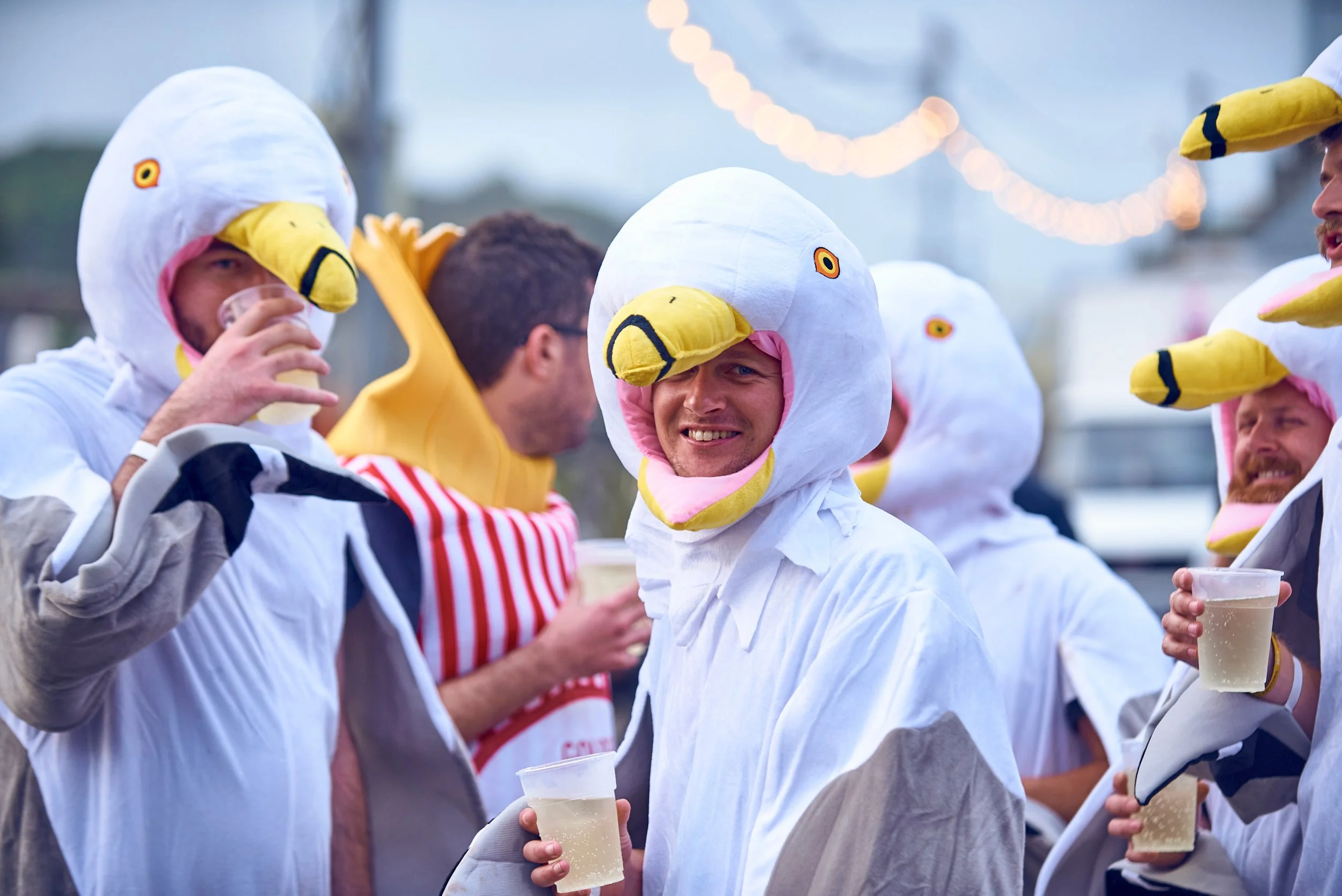 LMF2017_WillFahy_FancyDress_Seagulls_Heads_LR.jpg