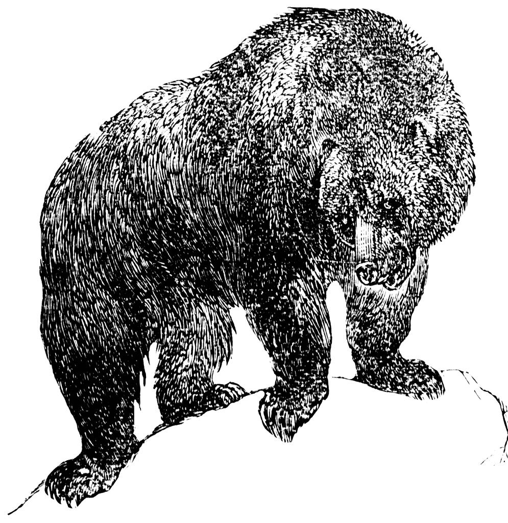 Who Was Hugh Glass?