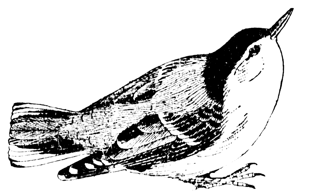 My Mom, Mary Oliver, Fancy Smart People, and Me