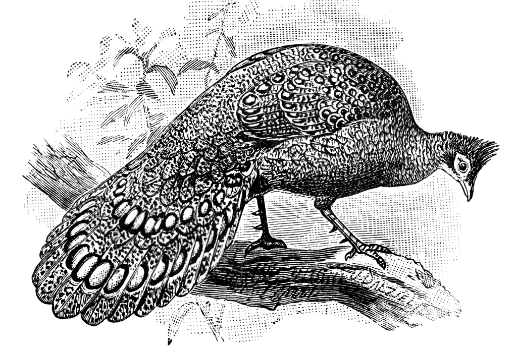 My Daughter is Obsessed with Gaston From Beauty and the Beast