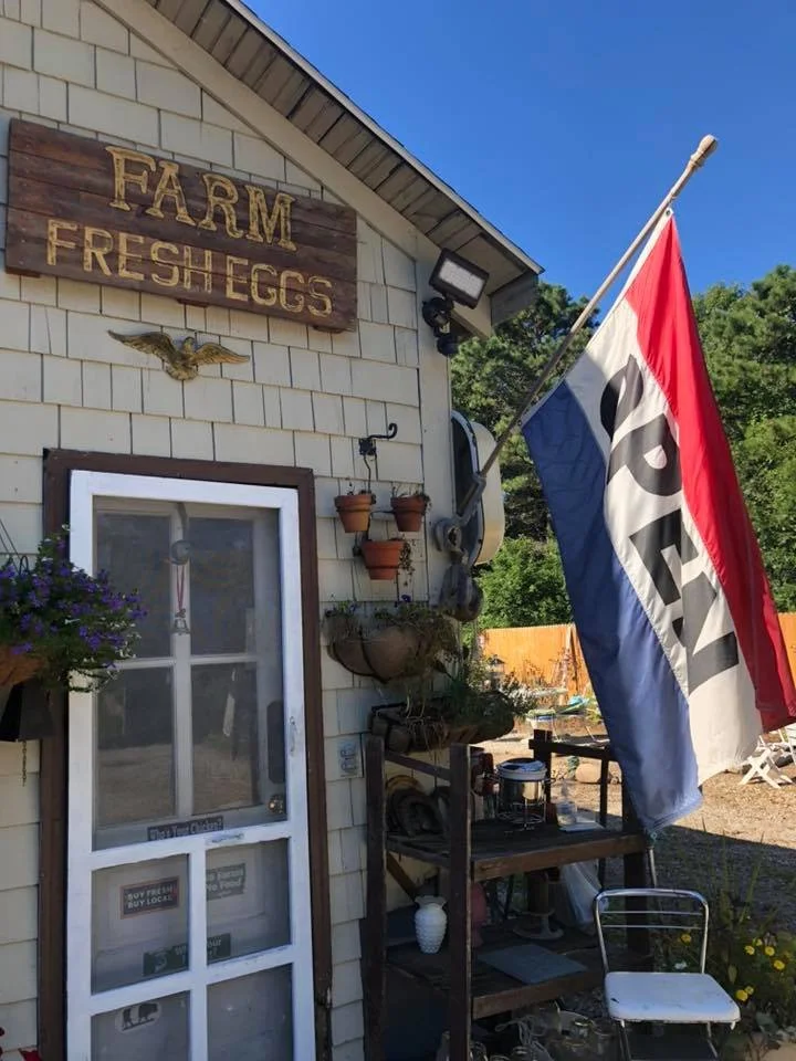 Exterior of a farm shop with a wooden sign that reads 'FARM FRESH EGGS', a yellow and black bird decal, and a red, white, and blue 'OPEN' flag. The scene includes a door, hanging plants, a small table with jars, and greenery in the background.