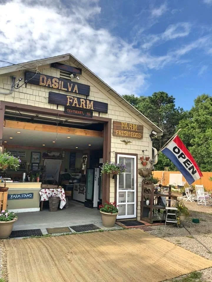 Front of a farm shop with a sign reading 'Dasilva Farm' and an 'Open' flag. The shop sells fresh eggs and features outdoor decorations, potted plants, and outdoor seating.