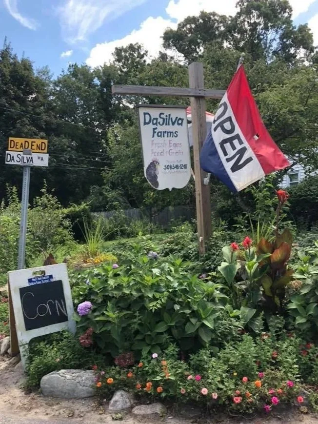 A garden scene with colorful flowers and plants, a wooden sign with a red, white, and blue 'OPEN' flag attached, and a sign for Pasilva Farms. There is also a street sign that reads 'Dead End' with the words 'Da Silva' partially visible.