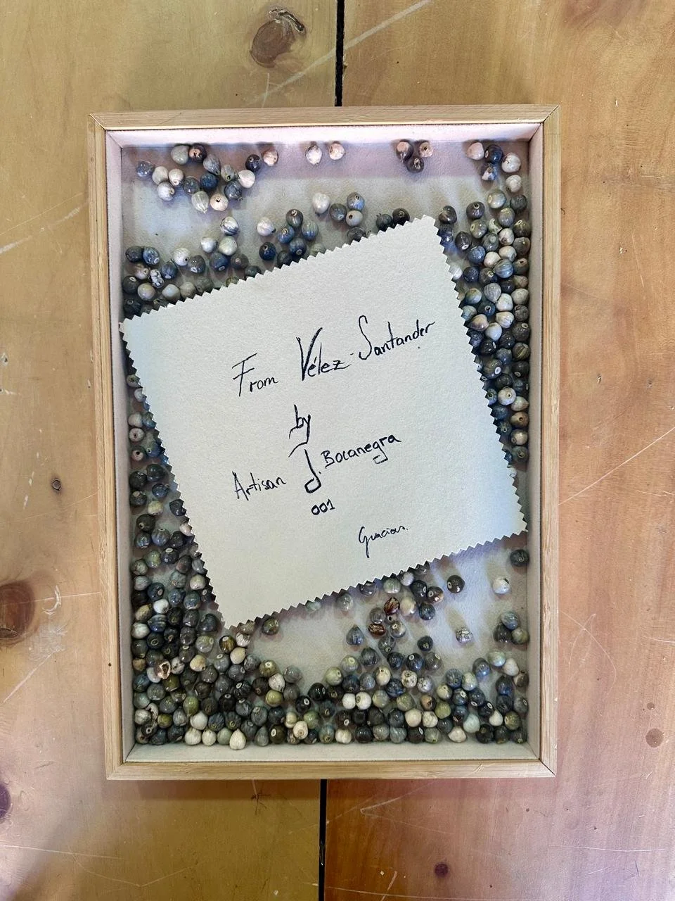 WhatsApp Image 2025-01-09 at 12.15.21 PM.jpeg