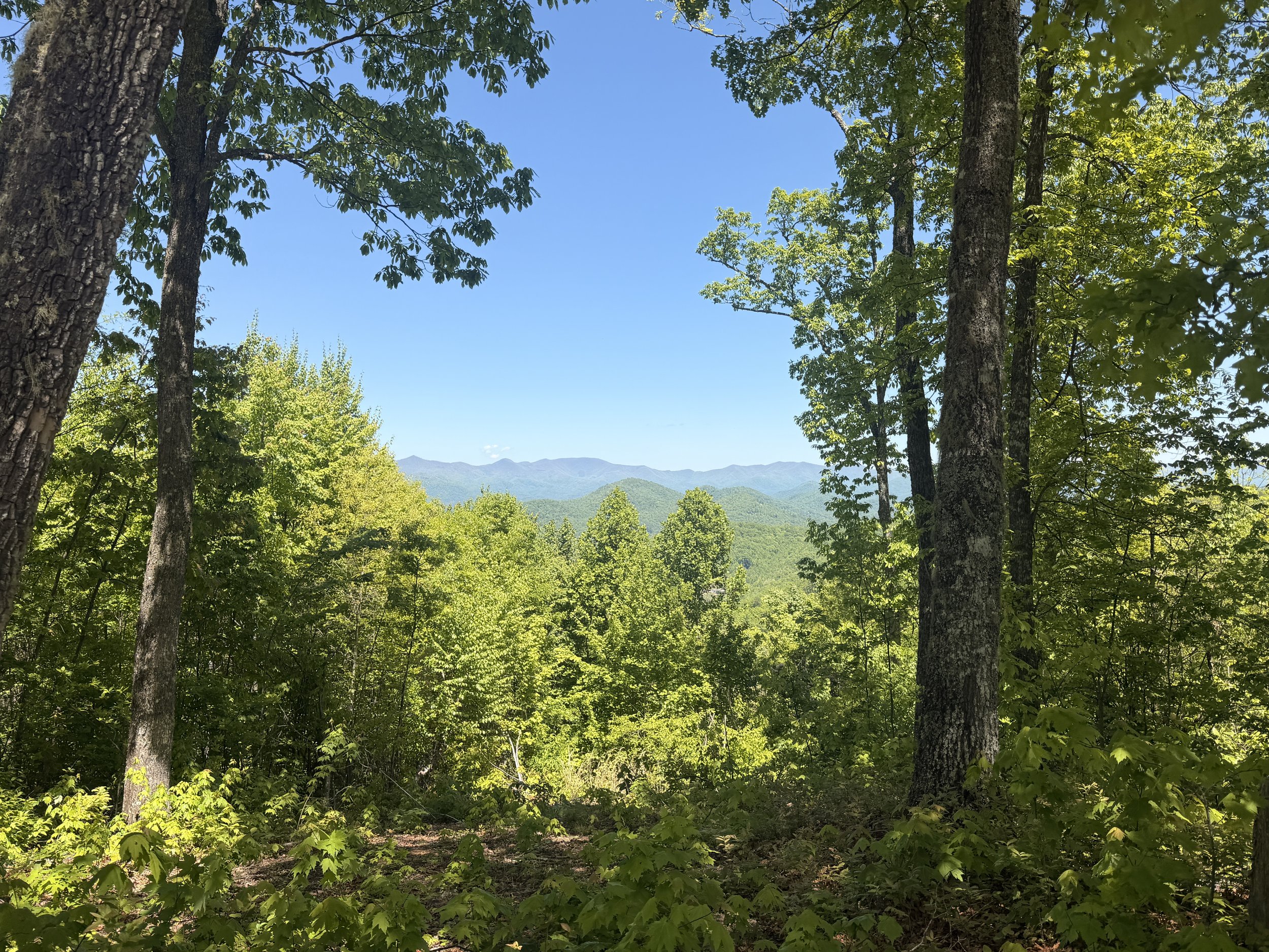 perfect place for elopements with a view in north carolina