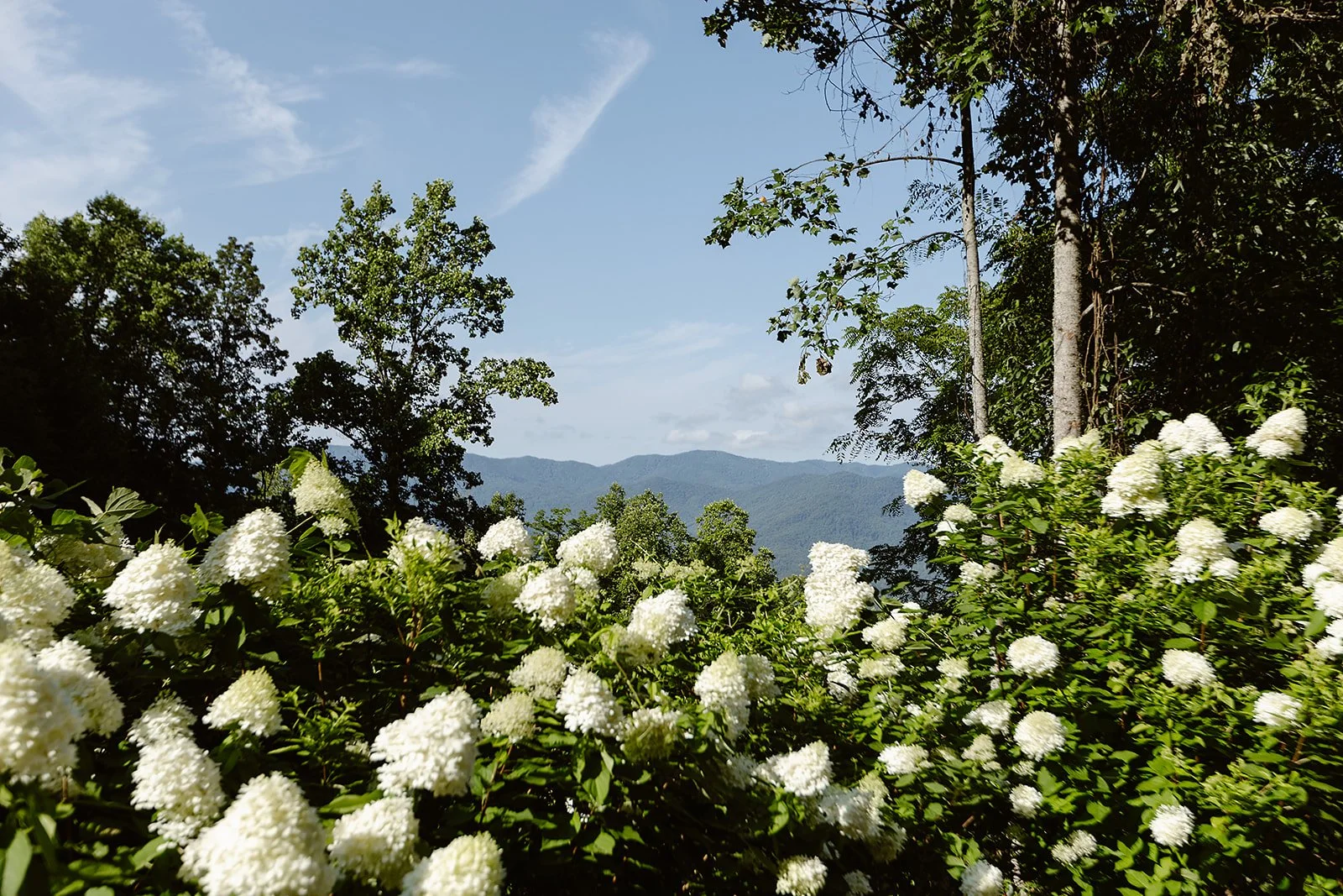 sylva elopement accomadations