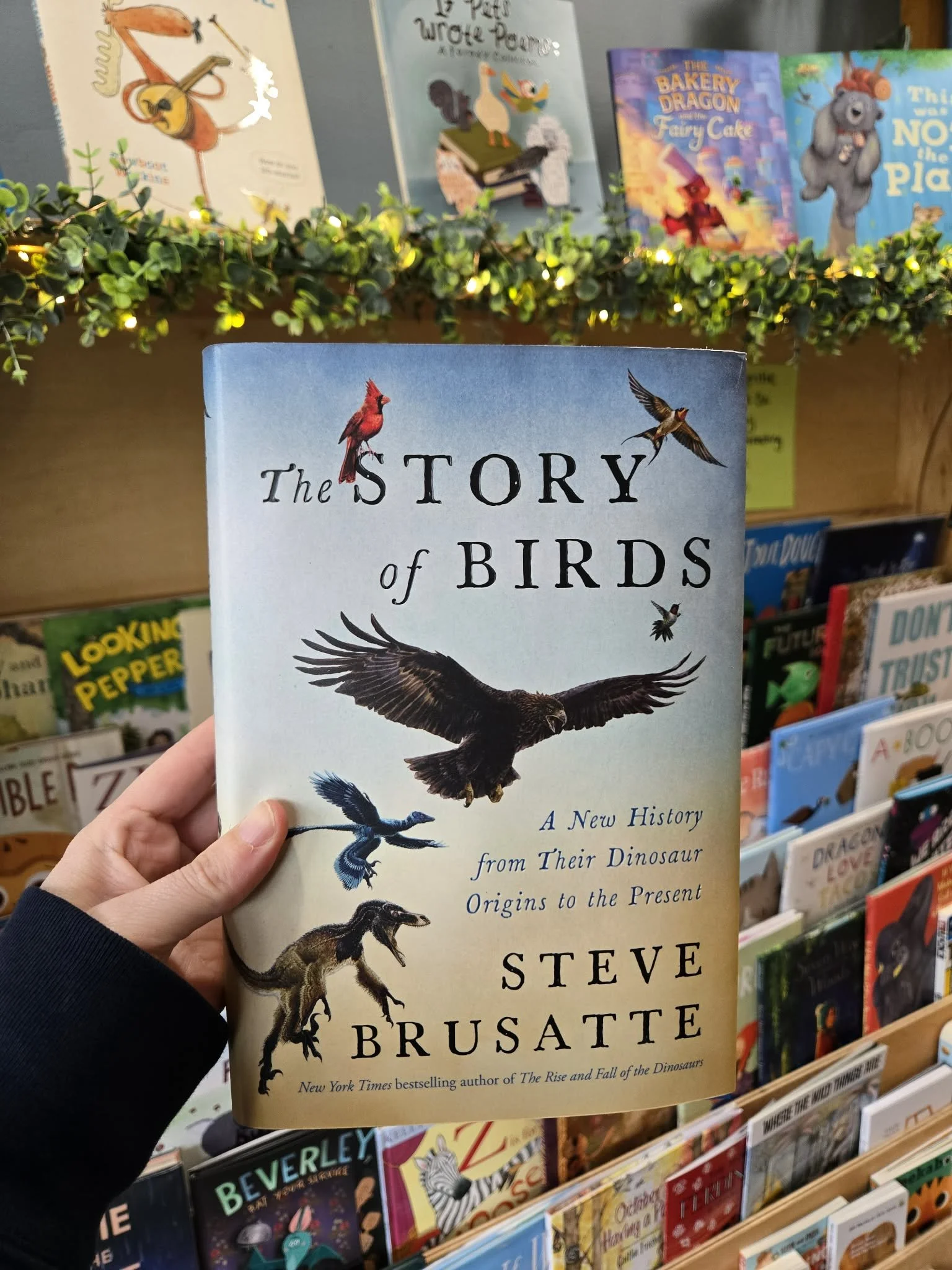 Friday Rec: The Story of Birds: A New History from Their Dinosaur Origins to the Present