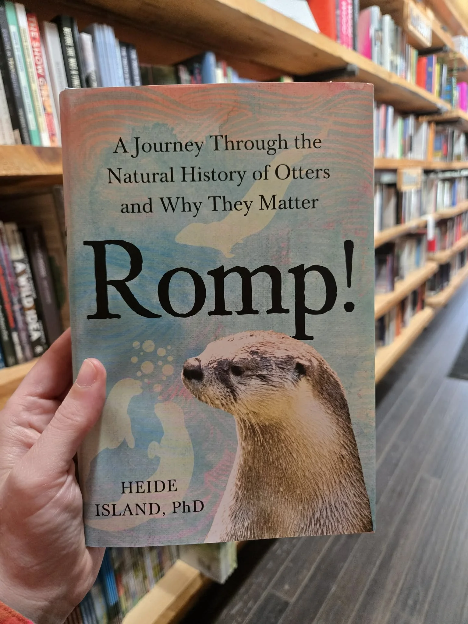 Friday Rec: Romp!