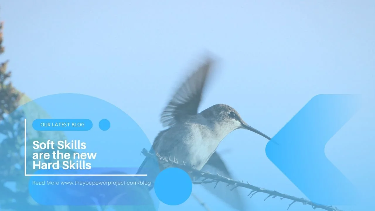 Soft Skills Are the New Hard Skills: Preparing Youth to Fly, Not Just Perch