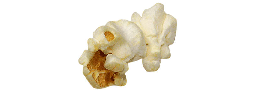 A close-up of a single piece of popcorn against a black background.