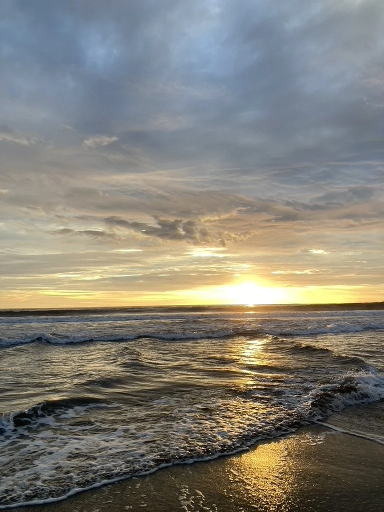 C6B5FA04-87CA-4FA9-886F-0FC7A3AE8688_1_105_c.jpeg