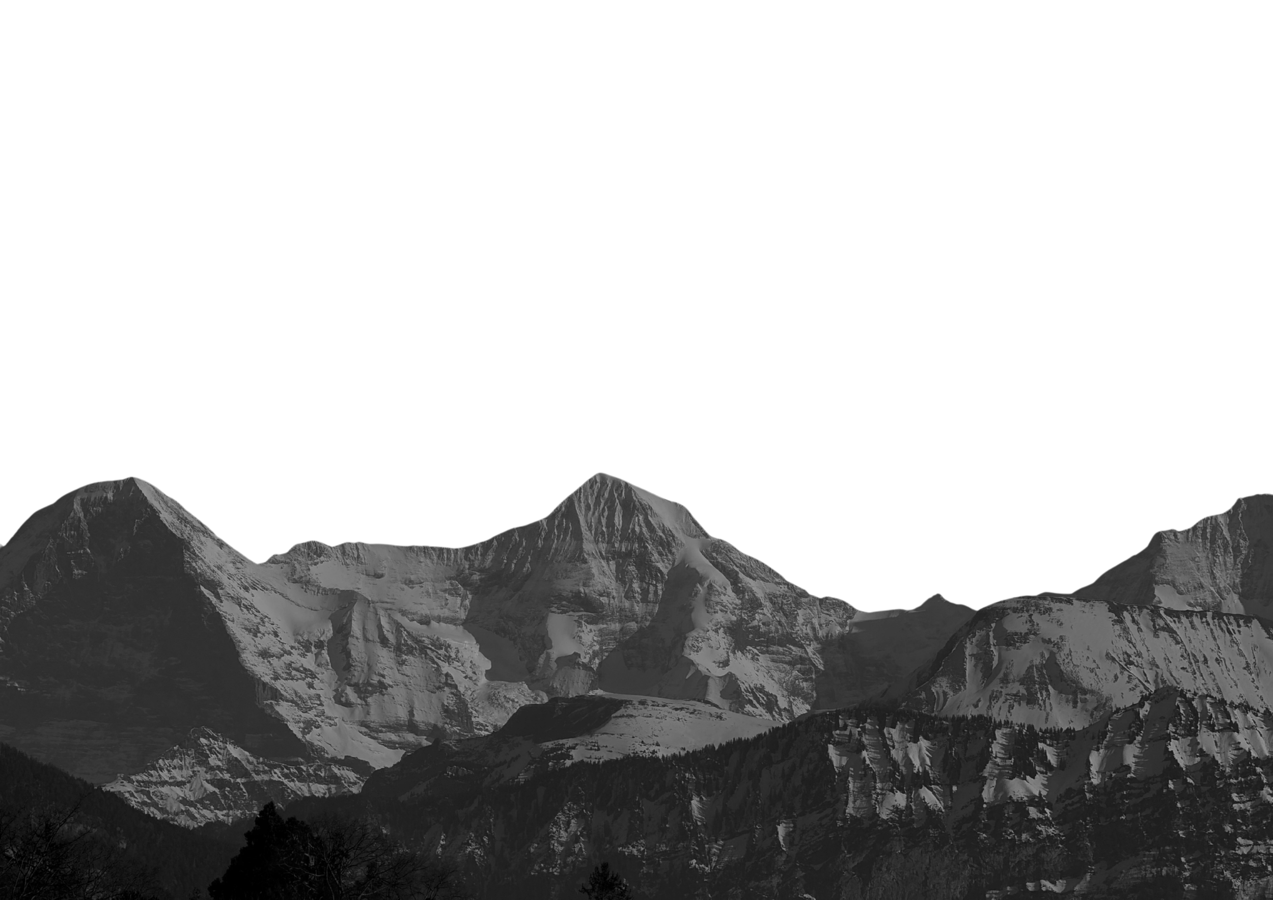 Schneebedeckte Berge vor schwarzem Himmel, dunkler Wald im Vordergrund