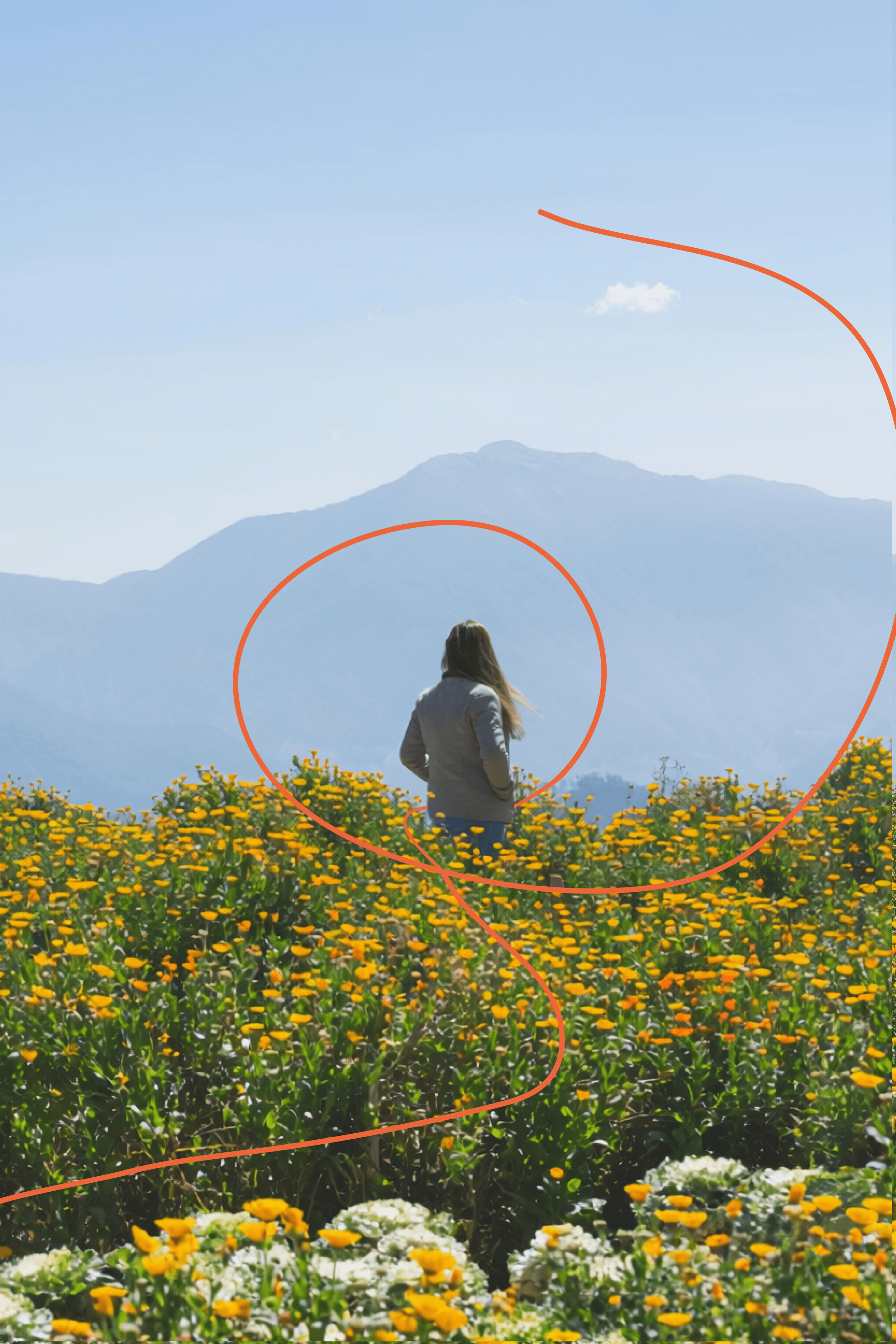 Women Standing in flower field looking at a mountain. with a orange swirl graphic around her.