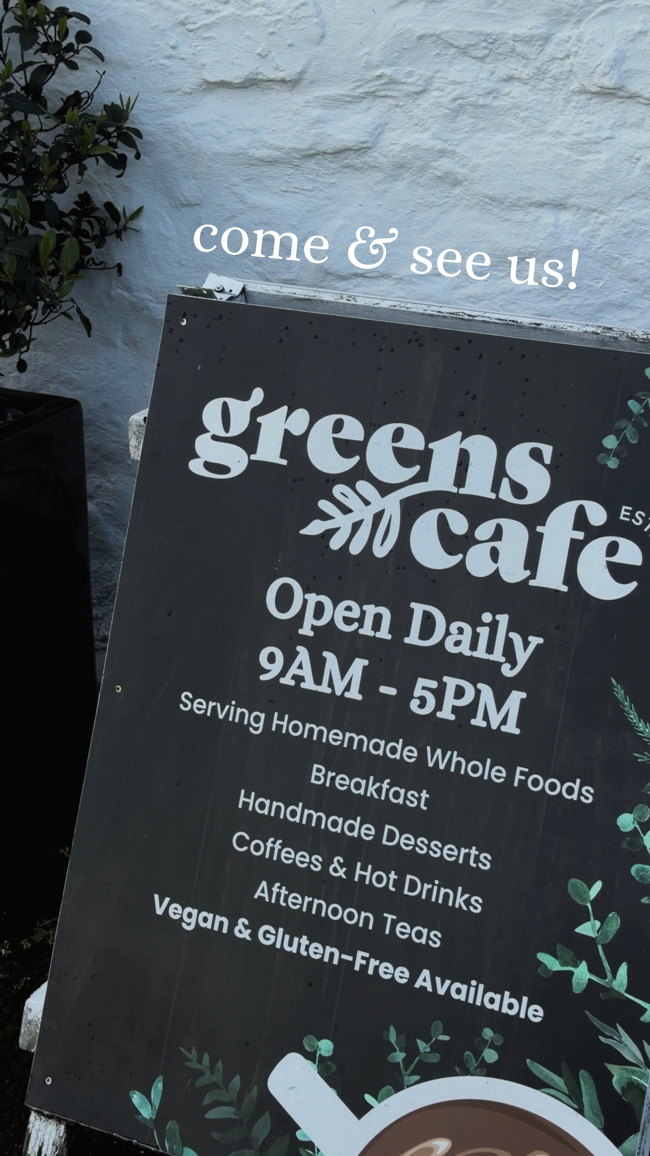 Greens Cafe Social Media Content