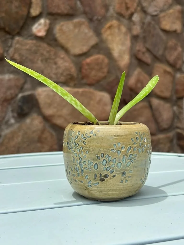 Planter Pot