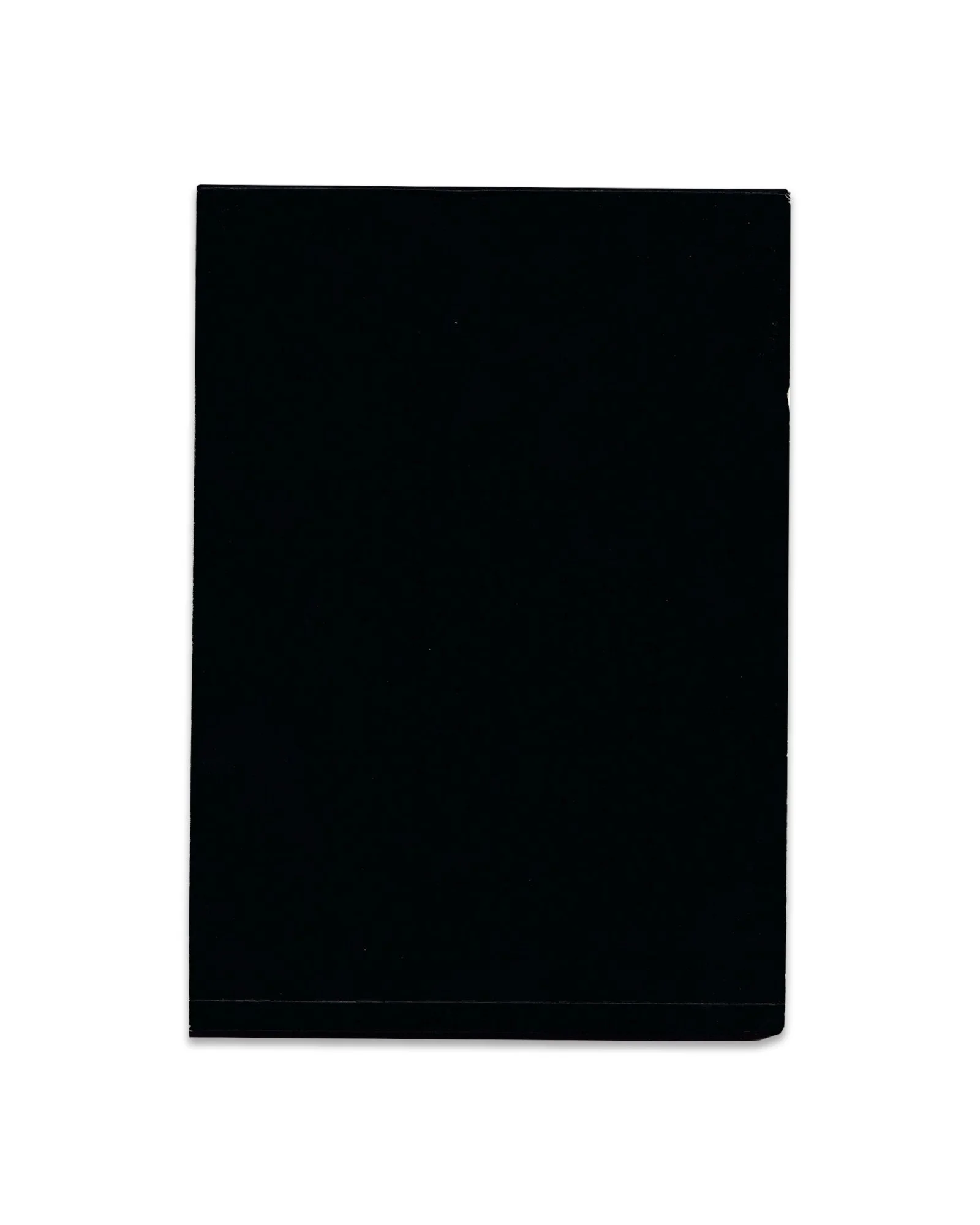BACK_02.jpg