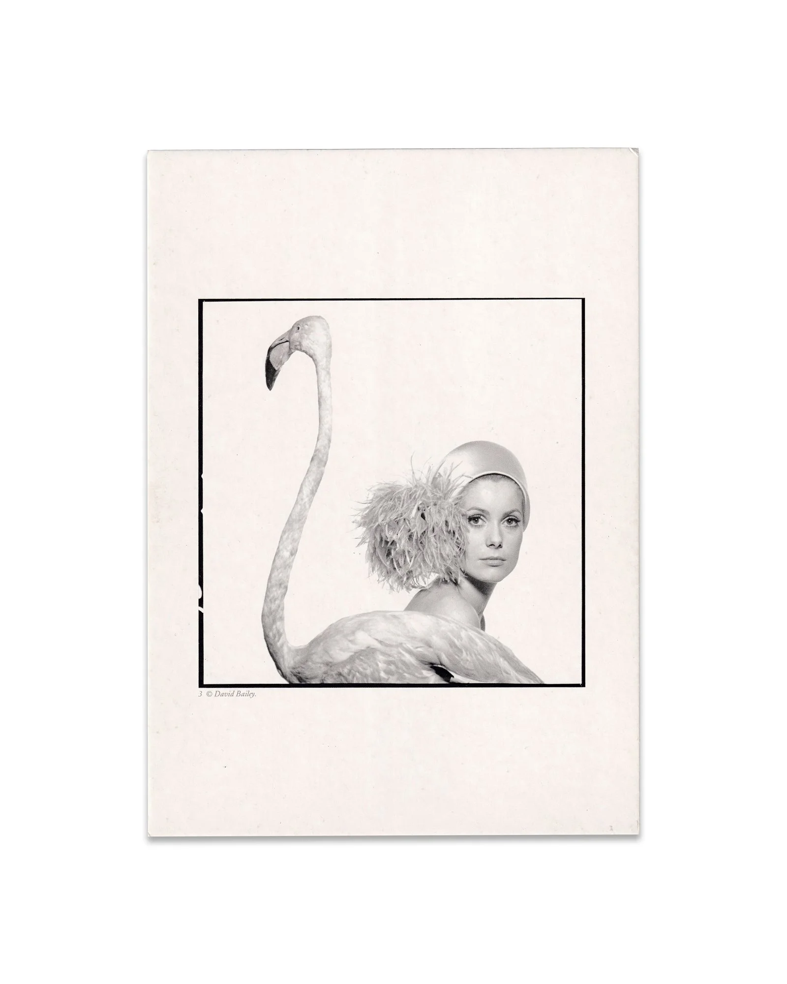 PRINT 03.jpg
