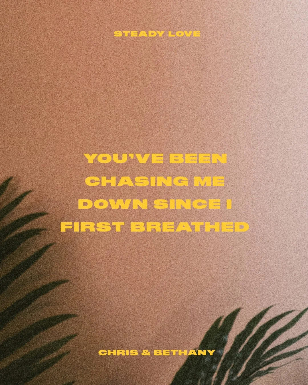 Chasing INSTA.jpg