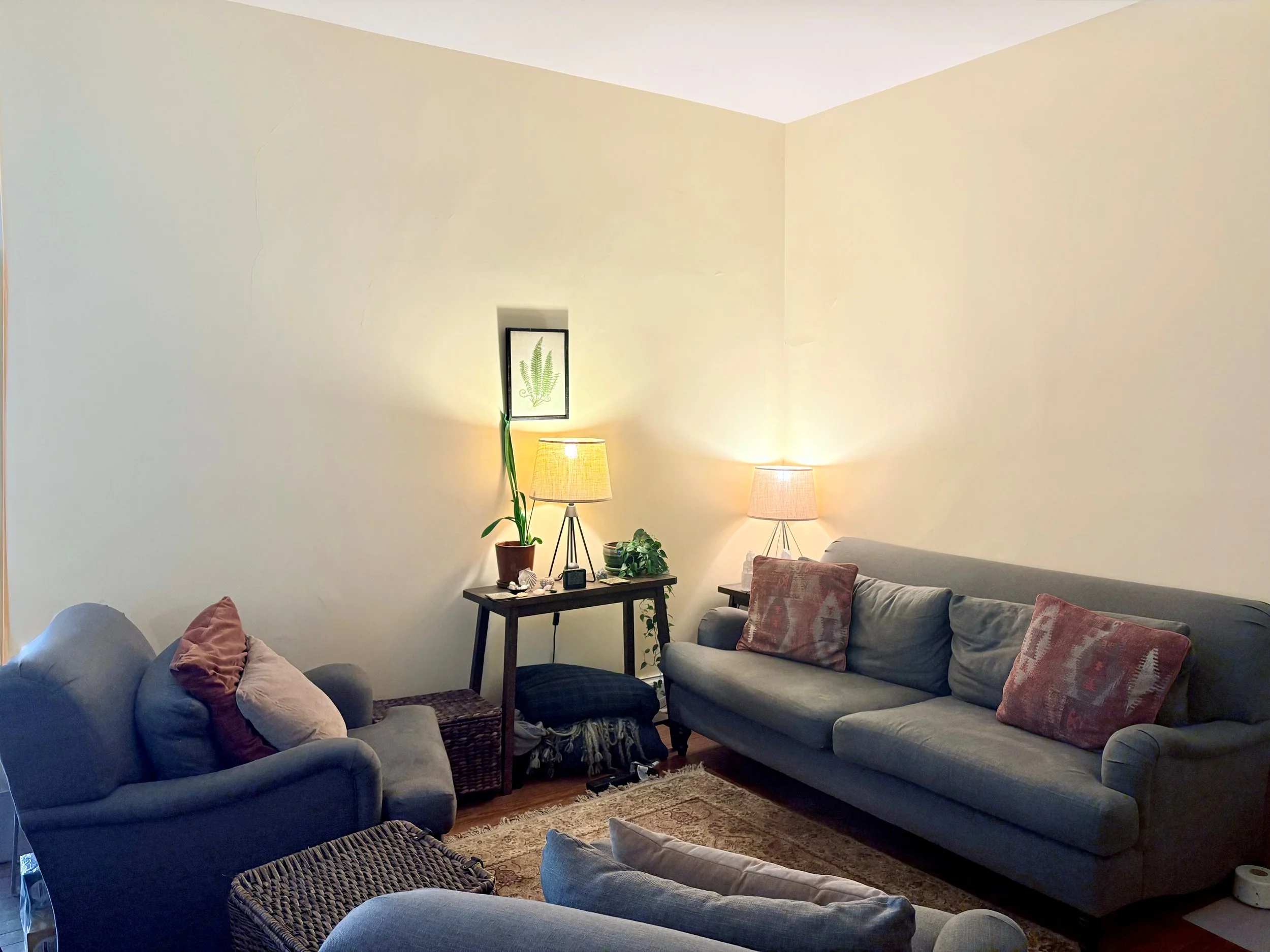 Living room with two sofas, a side table with lamps, plants, and wall art.