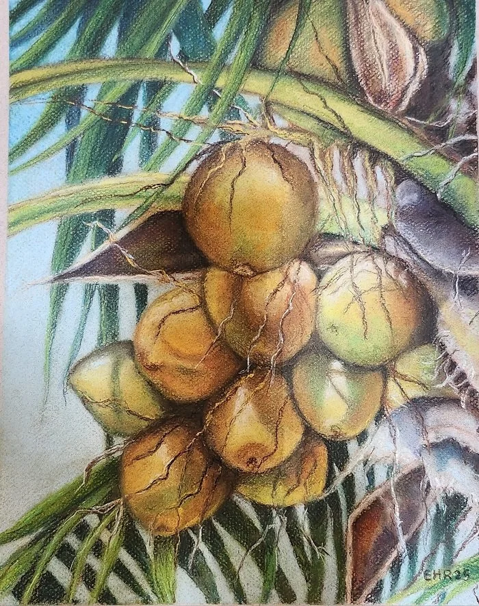 COCOS.jpg