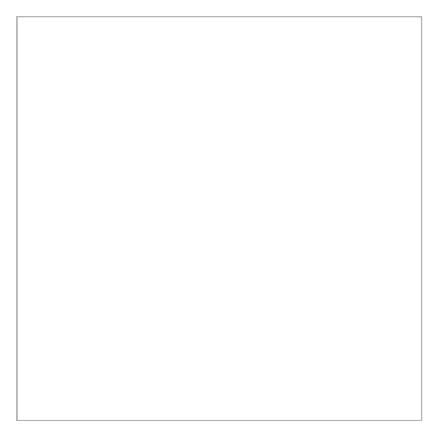 Blank white square with a gray frame.