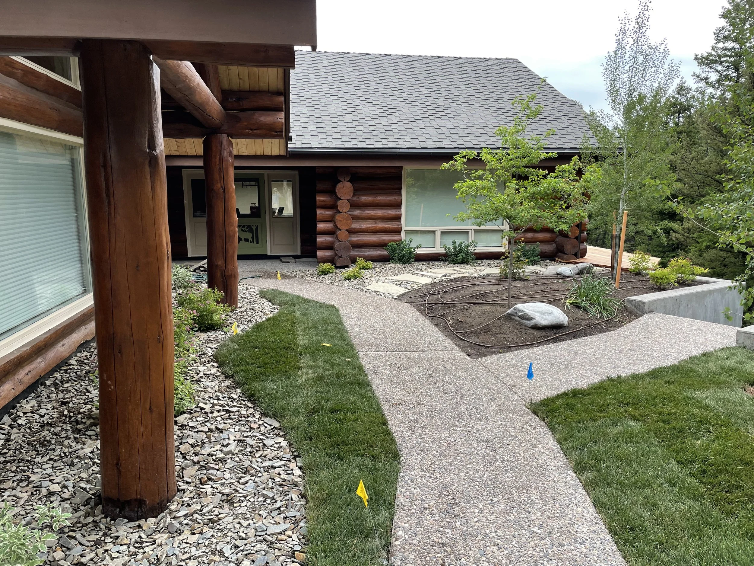 A backyard with a stone walkway, grass, small plants, and young trees, adjacent to a log cabin-style house with a gray shingled roof and large windows.