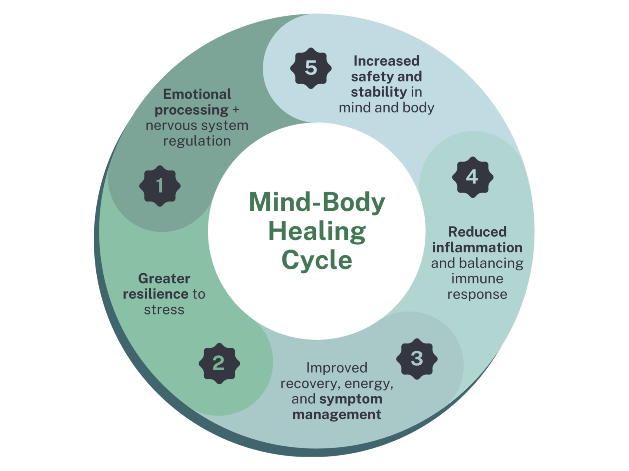 Diagram of the mind-body healing cycle with five stages: 1. Emotional processing and nervous system regulation, leading to greater resilience to stress. 2. Greater resilience to stress, resulting in improved recovery, energy, and symptom management. 3. Improved recovery, energy, and symptom management, fostering increased safety and stability in mind and body. 4. Increased safety and stability in mind and body, which reduces inflammation and balances immune response. 5. Reduced inflammation and balanced immune response, completing the cycle.