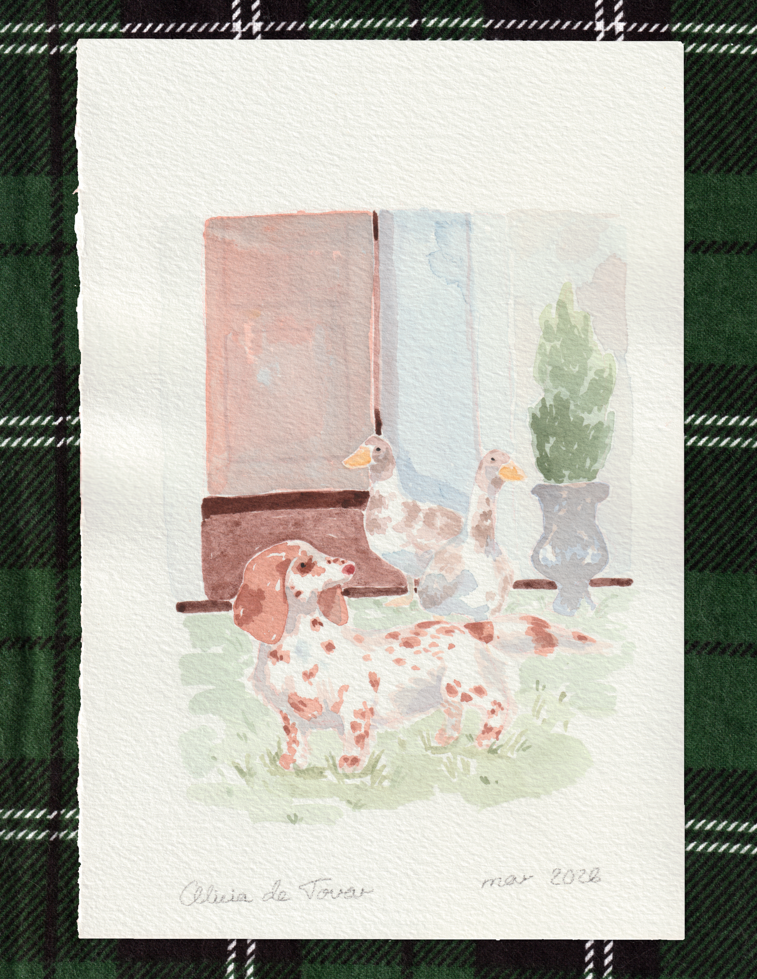 Geese and Dog