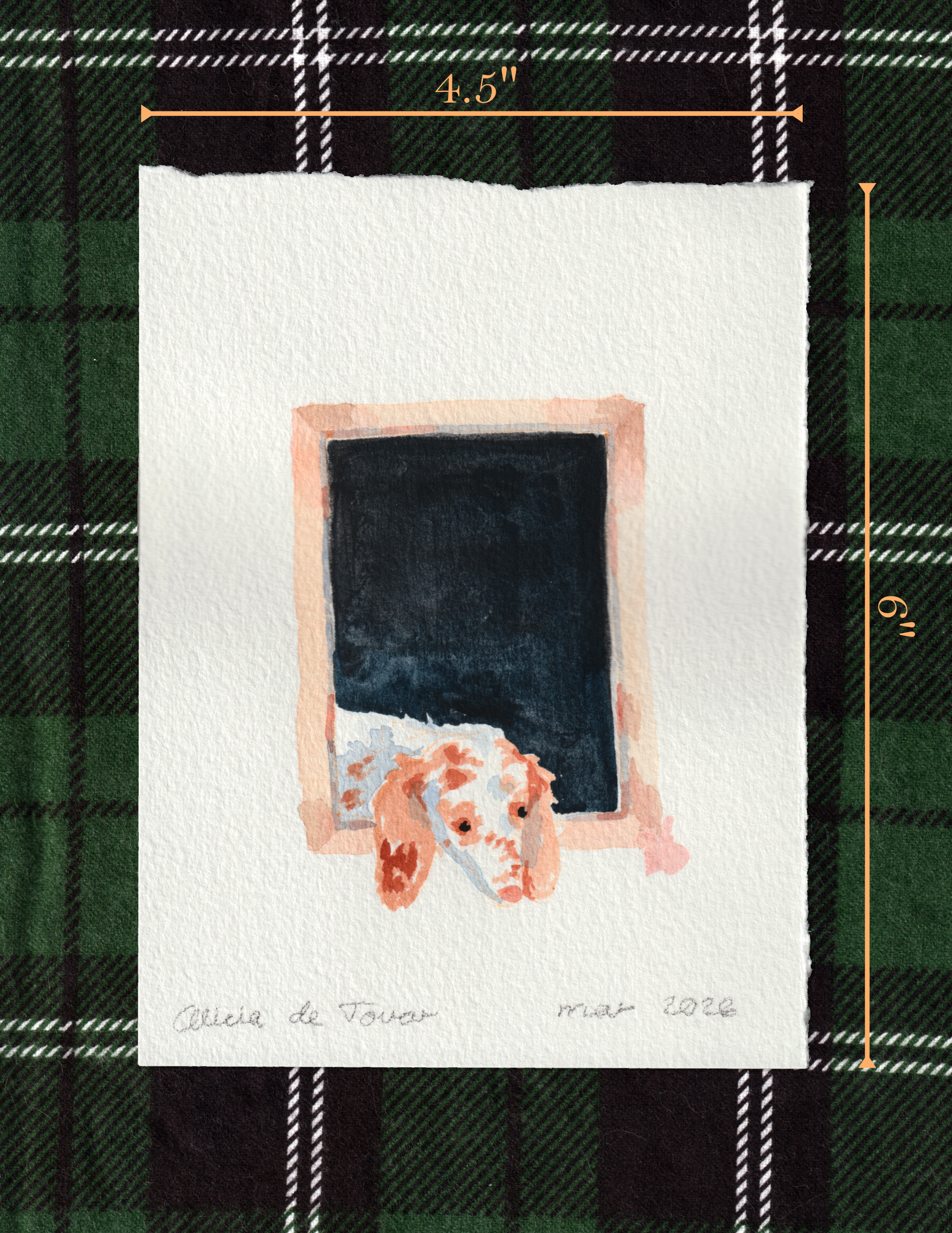 look window barn_medidas.png