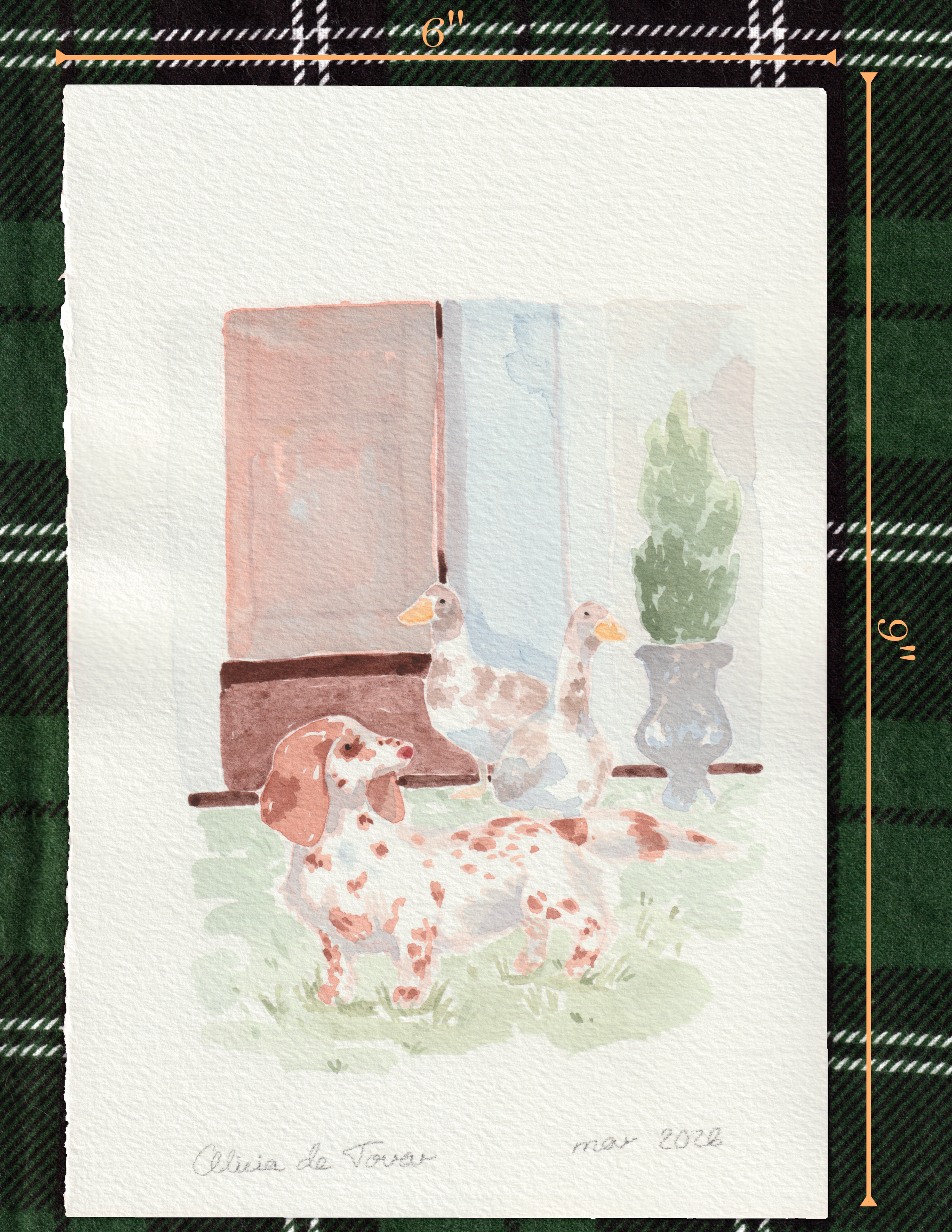 geese and dog_medidas.png
