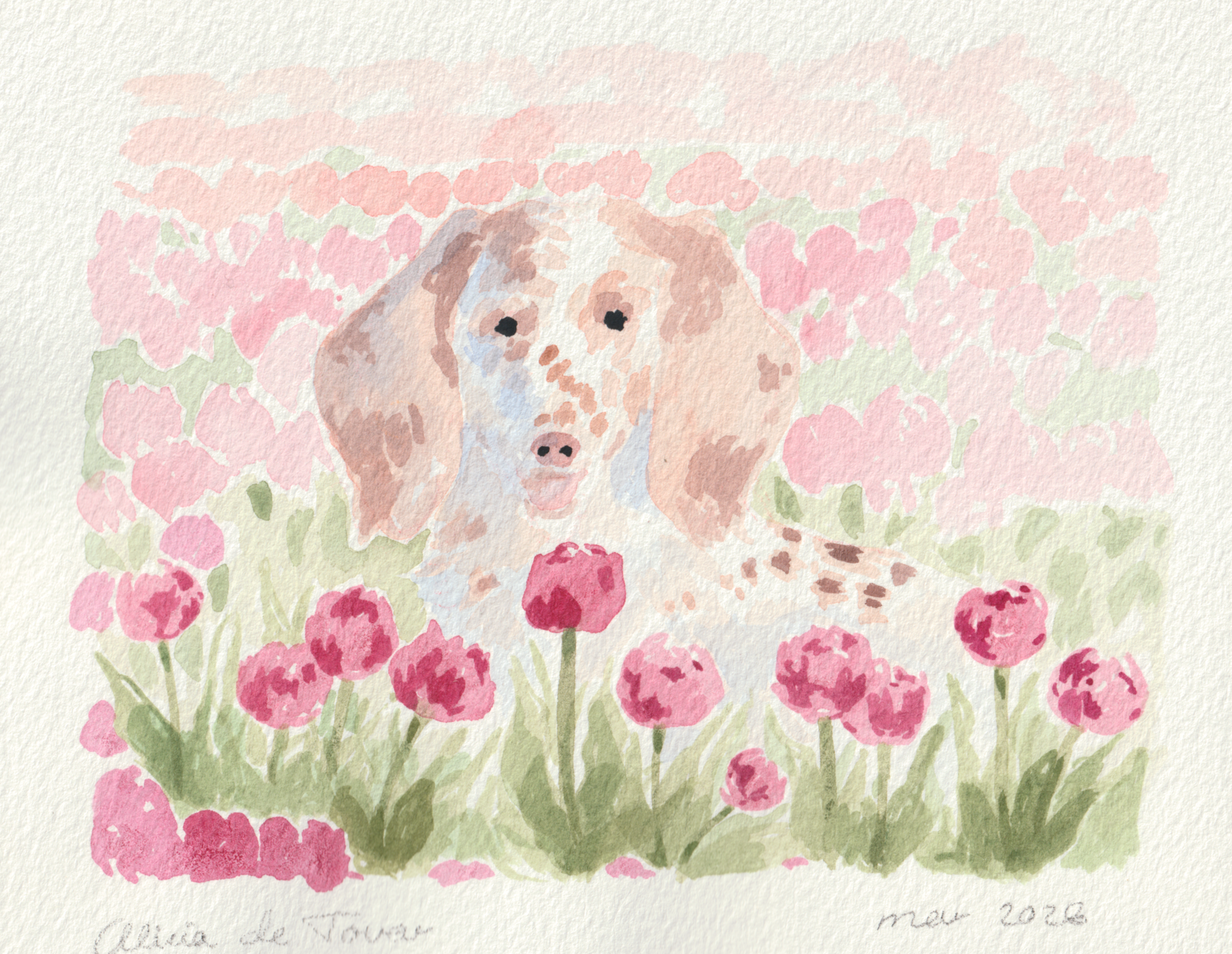 a watercolor painting of a dachshund  in a pink flower field
