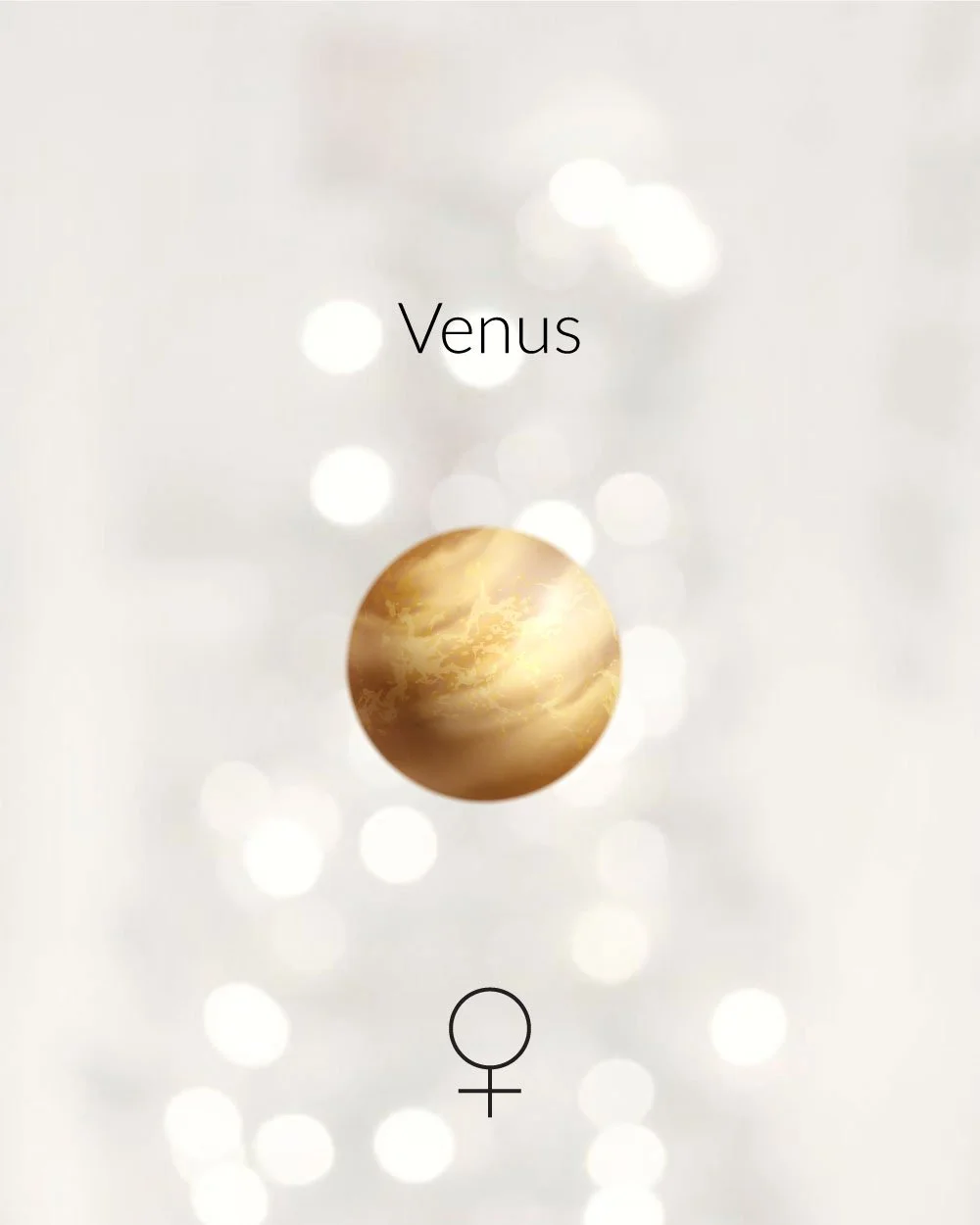 PL_6_Venus.jpg