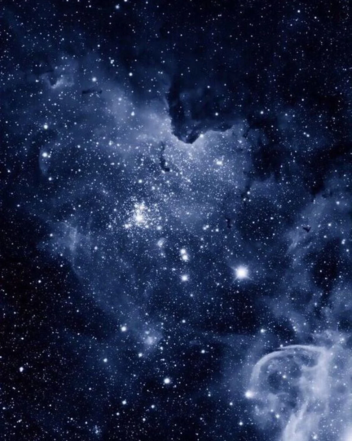 PL_8_Noir_cover sign.jpg