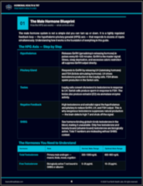 Screenshot 2026-04-04 at 16.47.06.png