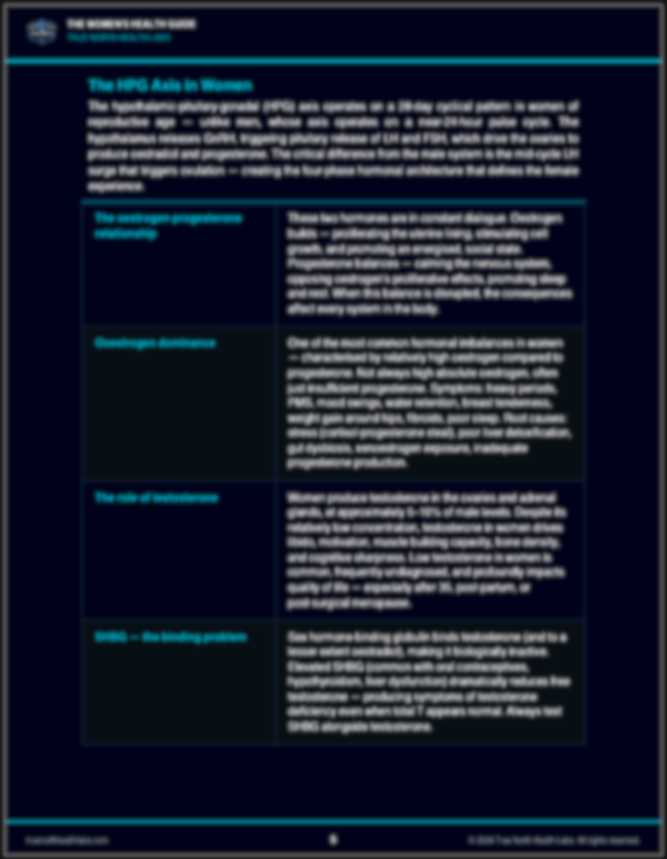 Screenshot 2026-04-04 at 16.53.43.png