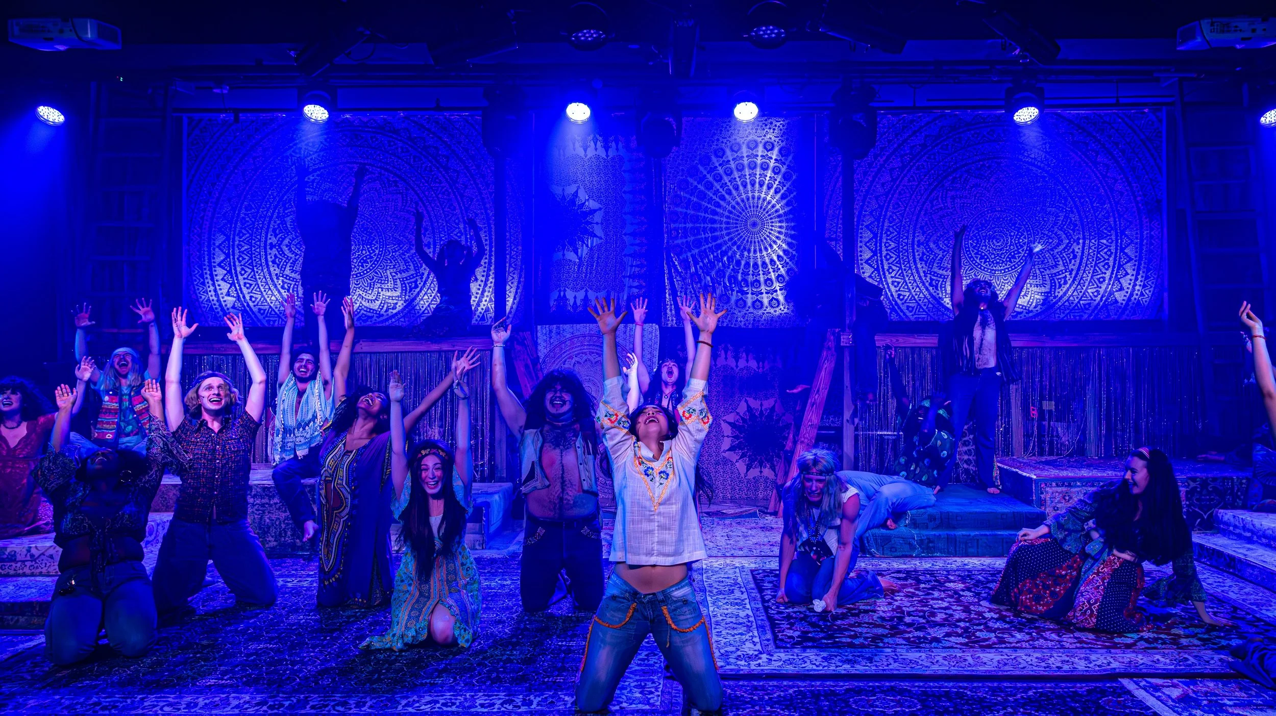 TRIBE MEMBER in Hair.