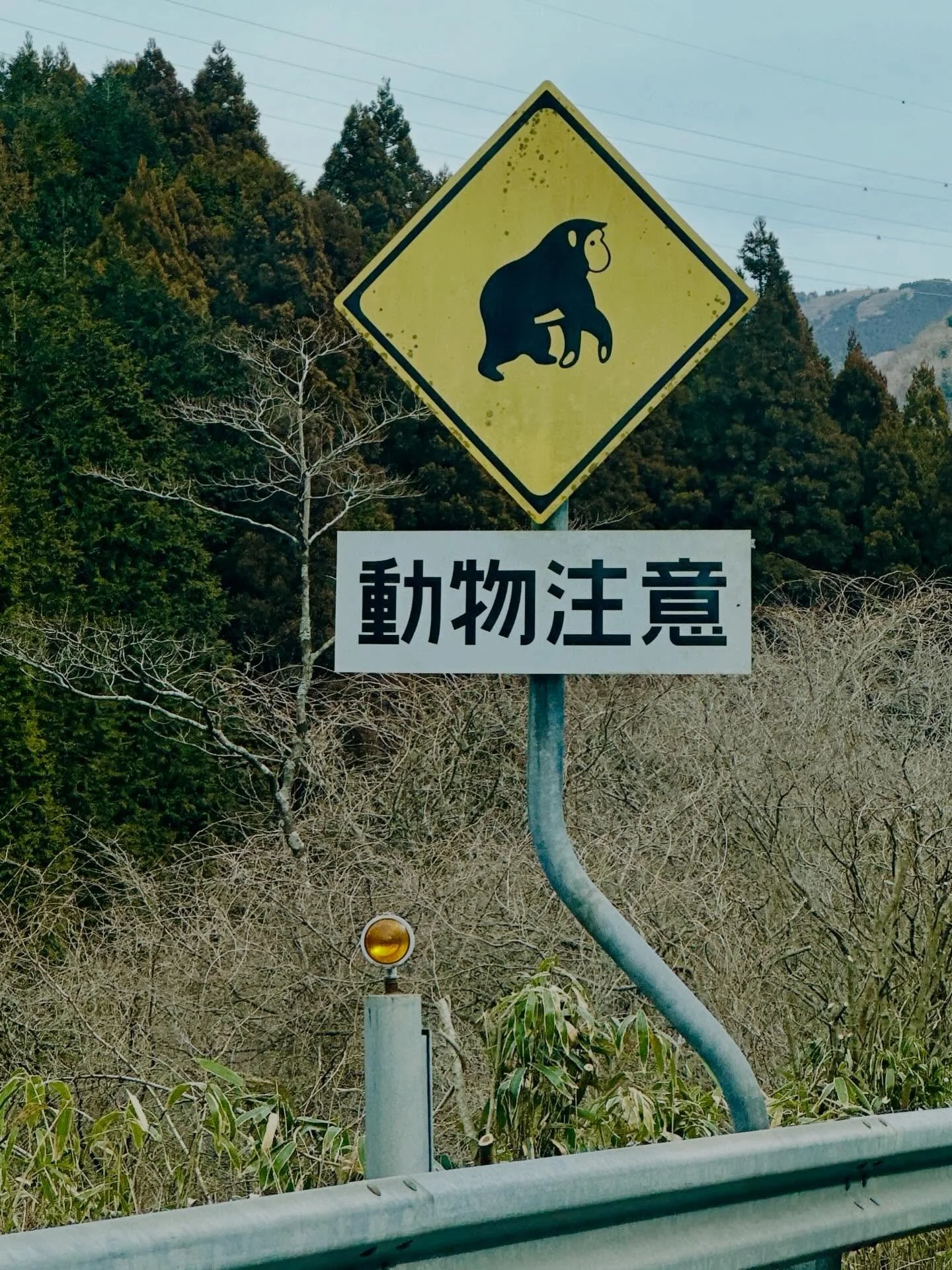 The coolest road sign ever.