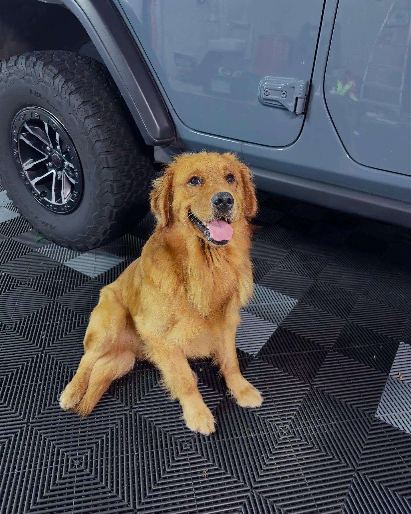 Look at this good boy!