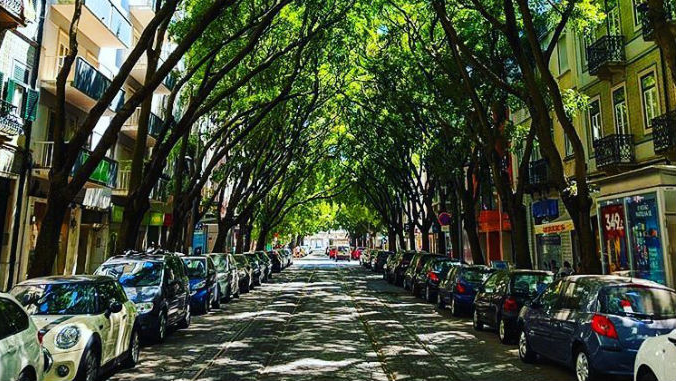 Campo de Ourique: o bairro que os lisboetas que conhecem Lisboa bem querem para si