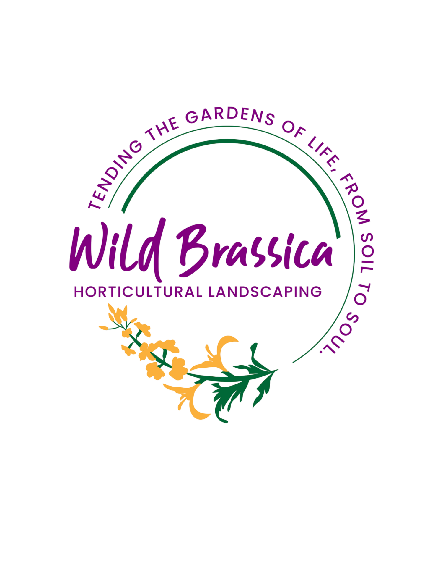 Wild Brassica Horticultural Landscaping