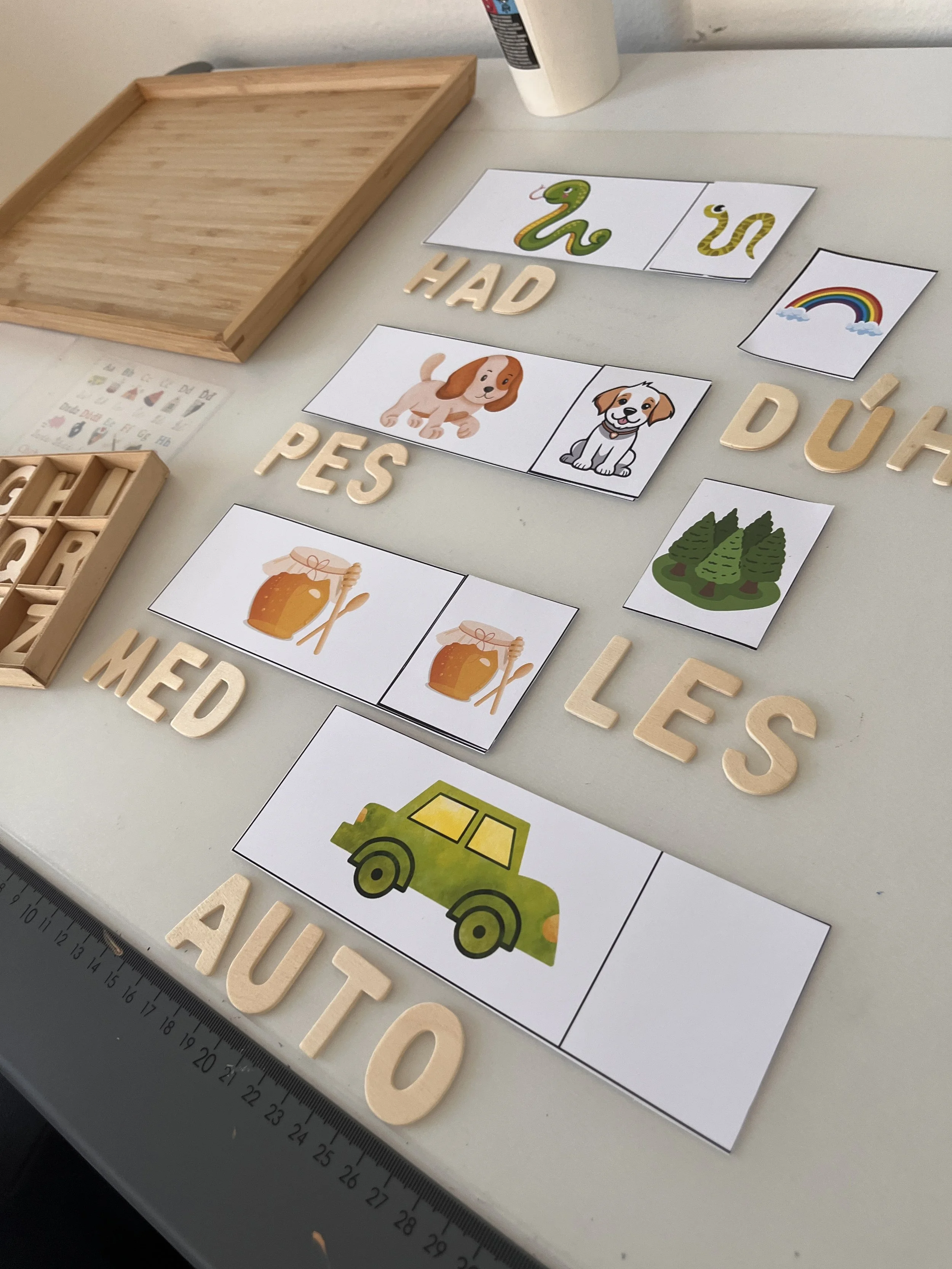 Educational materials on a white table, including picture cards of a snake, dog, jar of honey, and a car, with words "HAD," "PES," "LES," and "AUTO" in wooden letters, and labeled visual aids for learning.