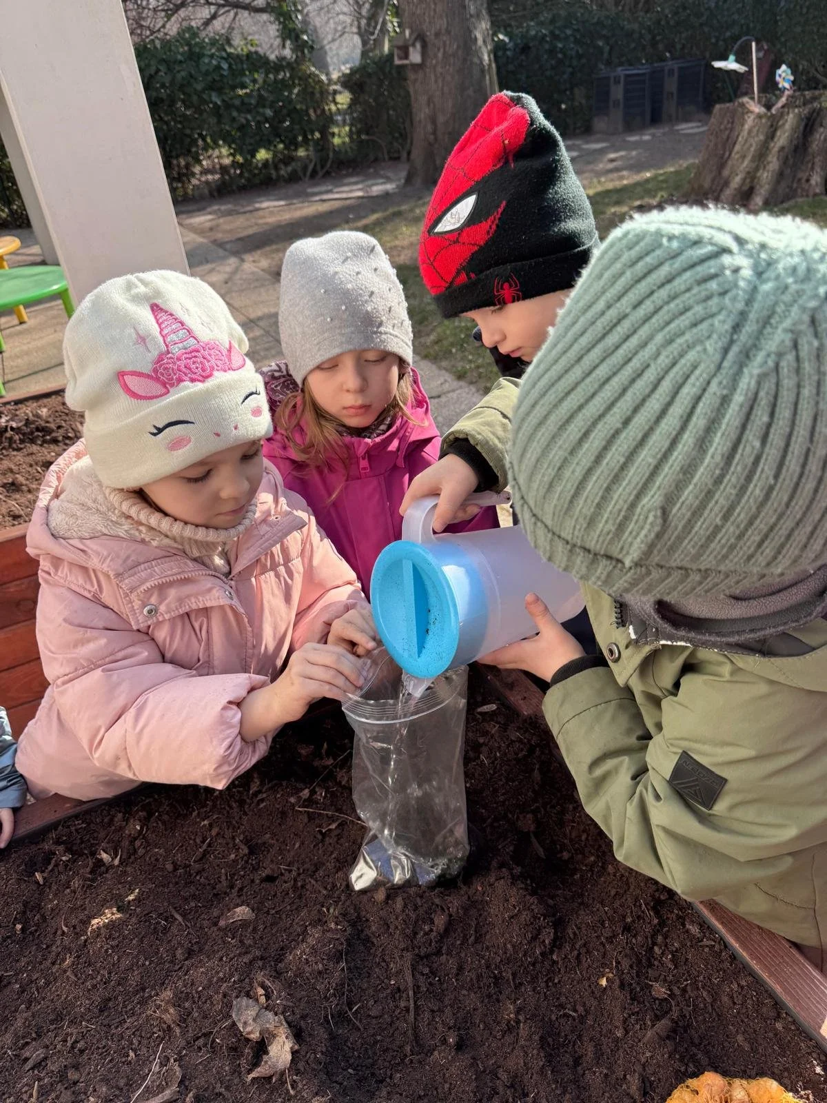 Four children wearing winter jackets and hats planting a seed in soil with a plastic bag, in a garden or outdoor area.
