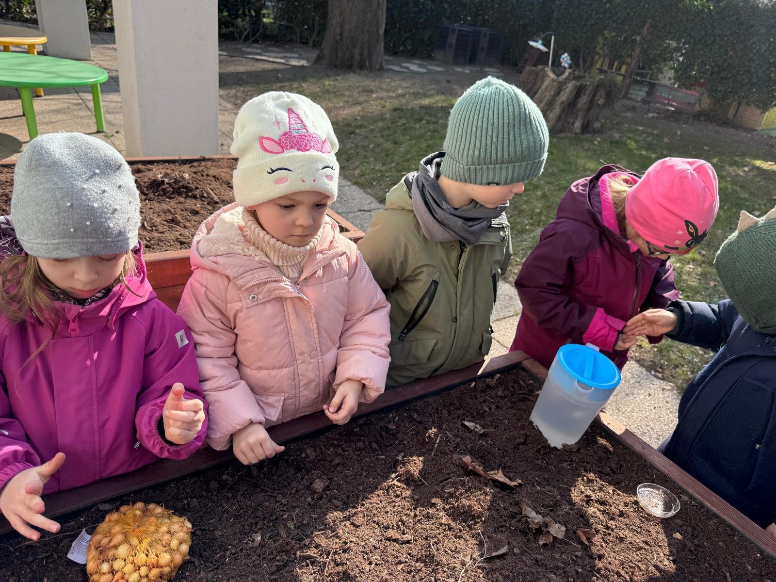Group of young children in jackets and hats planting bulbs in a garden bed.